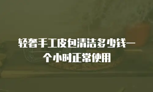 轻奢手工皮包清洁多少钱一个小时正常使用