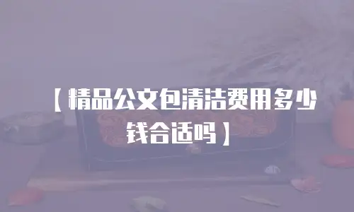 【精品公文包清洁费用多少钱合适吗】