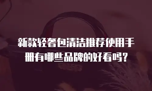 新款轻奢包清洁推荐使用手册有哪些品牌的好看吗？