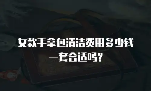 女款手拿包清洁费用多少钱一套合适吗？
