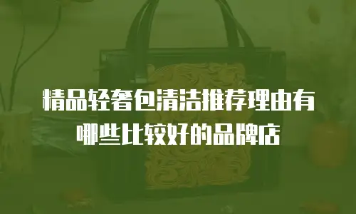 精品轻奢包清洁推荐理由有哪些比较好的品牌店