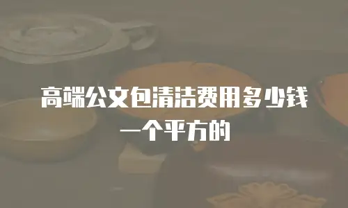 高端公文包清洁费用多少钱一个平方的