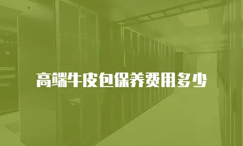 高端牛皮包保养费用多少