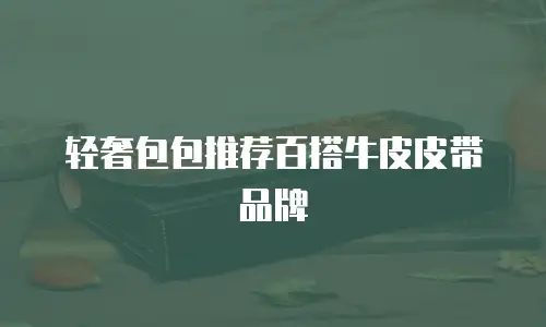 轻奢包包推荐百搭牛皮皮带品牌