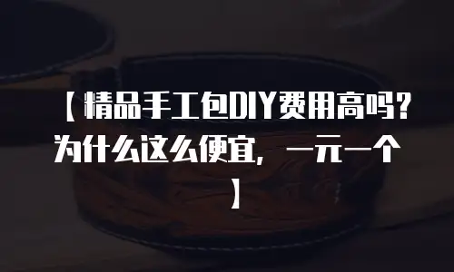 【精品手工包DIY费用高吗？为什么这么便宜，一元一个】