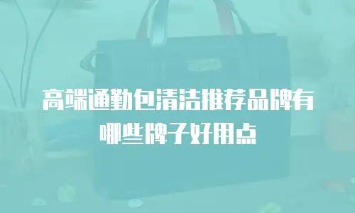 高端通勤包清洁推荐品牌有哪些牌子好用点