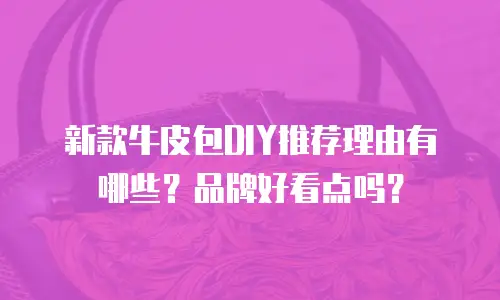 新款牛皮包DIY推荐理由有哪些？品牌好看点吗？