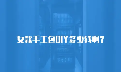 女款手工包DIY多少钱啊？