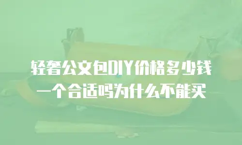轻奢公文包DIY价格多少钱一个合适吗为什么不能买