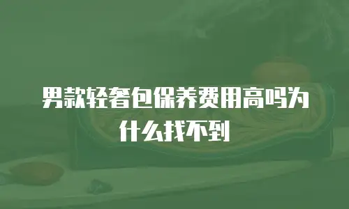 男款轻奢包保养费用高吗为什么找不到