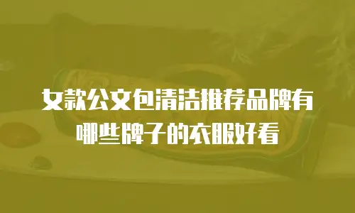 女款公文包清洁推荐品牌有哪些牌子的衣服好看