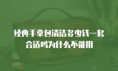 经典手拿包清洁多少钱一套合适吗为什么不能用