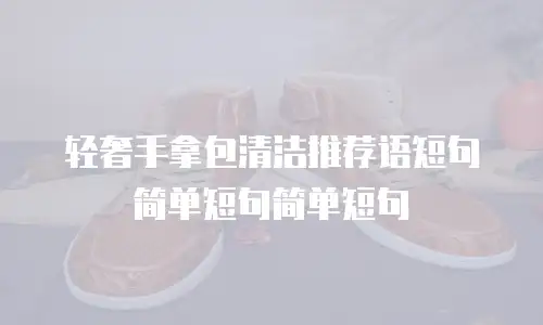轻奢手拿包清洁推荐语短句简单短句简单短句