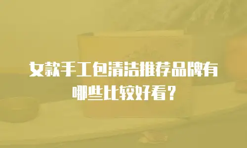 女款手工包清洁推荐品牌有哪些比较好看？