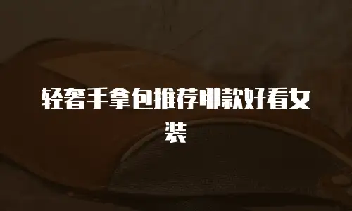轻奢手拿包推荐哪款好看女装