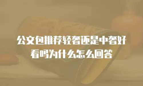公文包推荐轻奢还是中奢好看吗为什么怎么回答