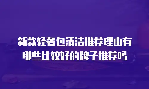 新款轻奢包清洁推荐理由有哪些比较好的牌子推荐吗