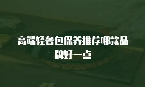 高端轻奢包保养推荐哪款品牌好一点