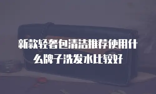 新款轻奢包清洁推荐使用什么牌子洗发水比较好