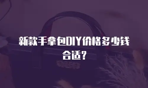 新款手拿包DIY价格多少钱合适？