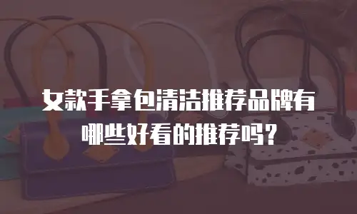 女款手拿包清洁推荐品牌有哪些好看的推荐吗？