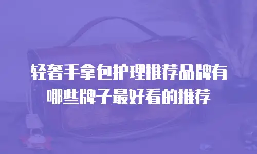 轻奢手拿包护理推荐品牌有哪些牌子最好看的推荐