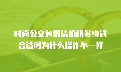 时尚公文包清洁价格多少钱合适吗为什么操作不一样