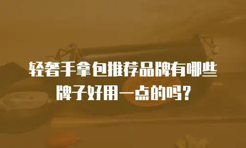 轻奢手拿包推荐品牌有哪些牌子好用一点的吗？