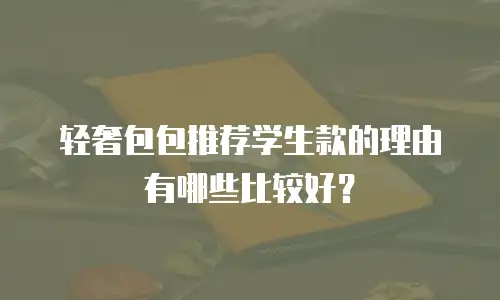 轻奢包包推荐学生款的理由有哪些比较好？