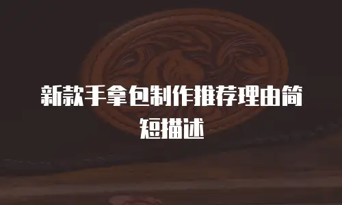 新款手拿包制作推荐理由简短描述