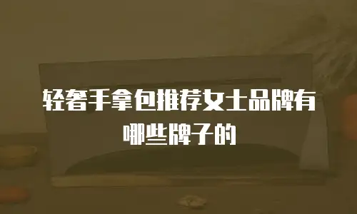 轻奢手拿包推荐女士品牌有哪些牌子的