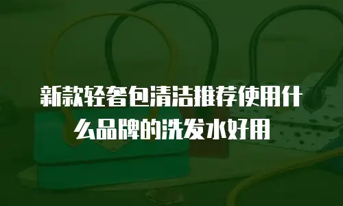 新款轻奢包清洁推荐使用什么品牌的洗发水好用