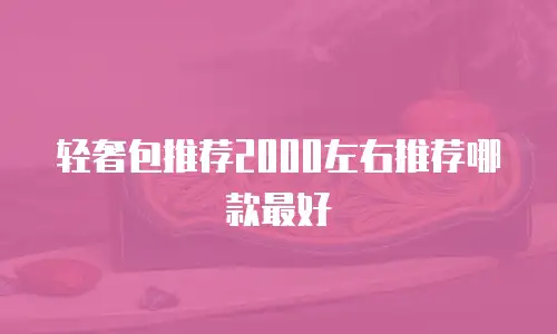 轻奢包推荐2000左右推荐哪款最好