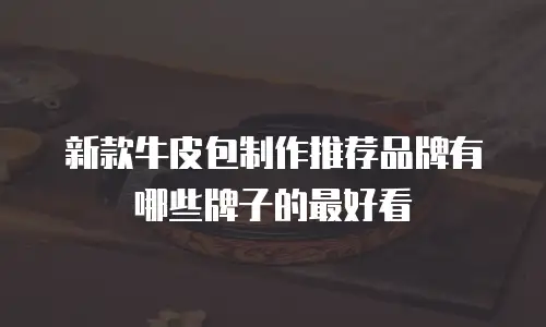 新款牛皮包制作推荐品牌有哪些牌子的最好看