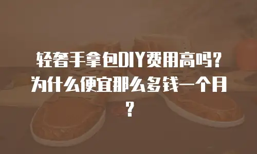 轻奢手拿包DIY费用高吗？为什么便宜那么多钱一个月？