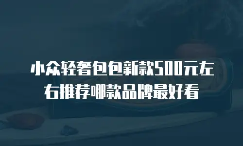 小众轻奢包包新款500元左右推荐哪款品牌最好看