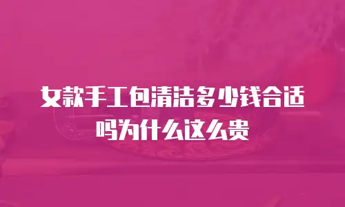 女款手工包清洁多少钱合适吗为什么这么贵