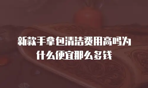 新款手拿包清洁费用高吗为什么便宜那么多钱