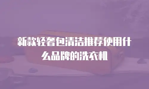 新款轻奢包清洁推荐使用什么品牌的洗衣机