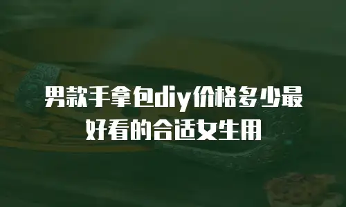 男款手拿包diy价格多少最好看的合适女生用