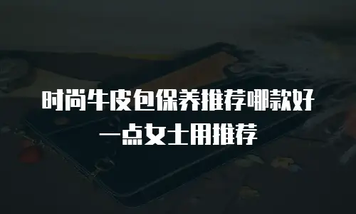 时尚牛皮包保养推荐哪款好一点女士用推荐