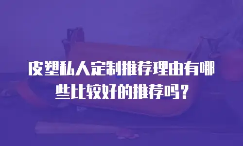 皮塑私人定制推荐理由有哪些比较好的推荐吗？