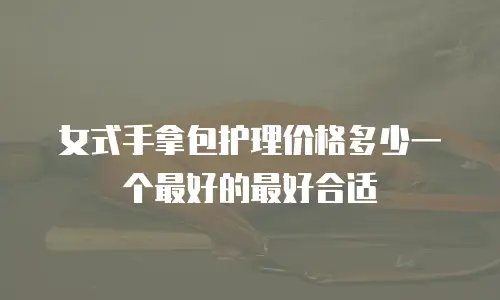 女式手拿包护理价格多少一个最好的最好合适