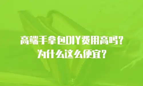 高端手拿包DIY费用高吗？为什么这么便宜？