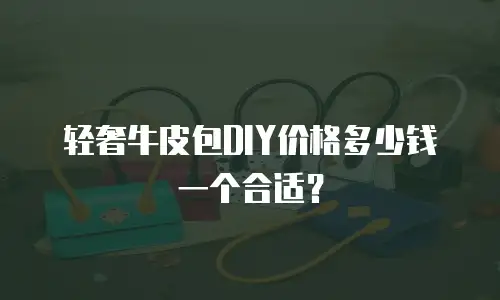 轻奢牛皮包DIY价格多少钱一个合适？