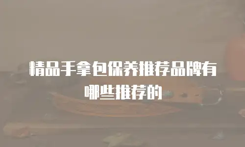 精品手拿包保养推荐品牌有哪些推荐的