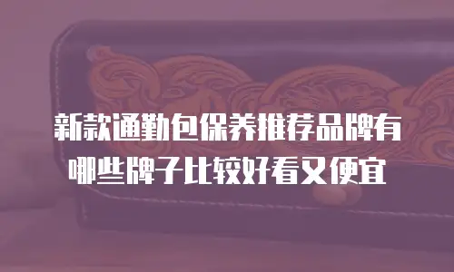 新款通勤包保养推荐品牌有哪些牌子比较好看又便宜