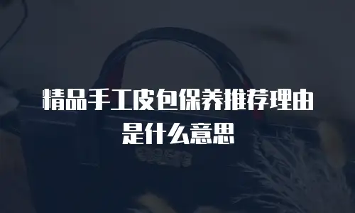 精品手工皮包保养推荐理由是什么意思