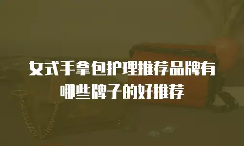 女式手拿包护理推荐品牌有哪些牌子的好推荐