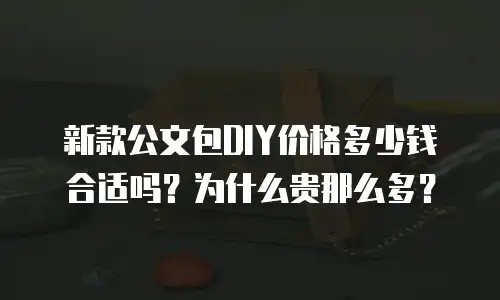新款公文包DIY价格多少钱合适吗？为什么贵那么多？